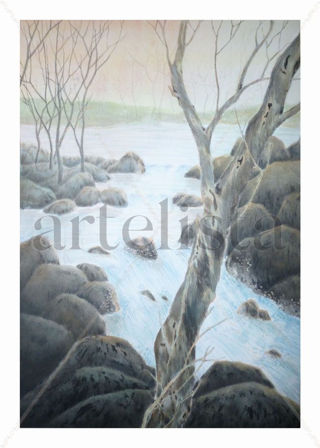 Atravesando el invierno