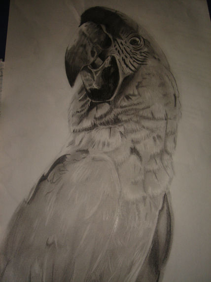 Loro