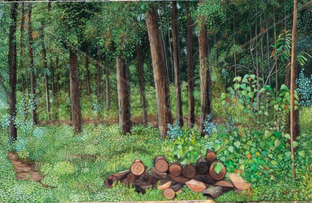 BOSQUE