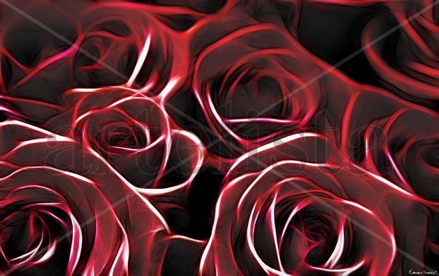 Red Roses