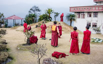 Tibetan Child