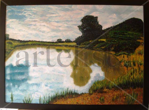 C03 Pequeño lago (2009) Oil Canvas Landscaping