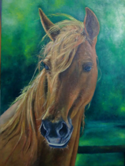 Mirada Oil Canvas Animals