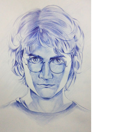 Retrato de harri poter