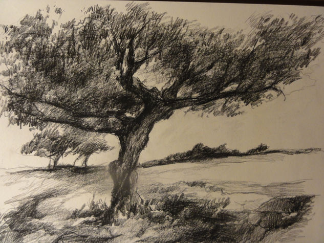 ARBOLES - TREES Pencil