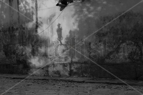 Luz y sombras