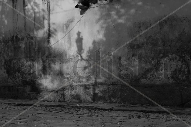 luz y sombras
