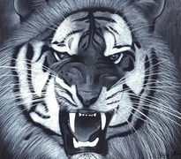 The Tiger