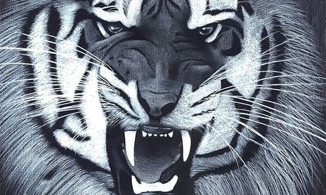 Animales