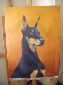 Doberman