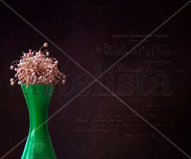 Allium y los textos franceses. Still lifes Color (Digital)