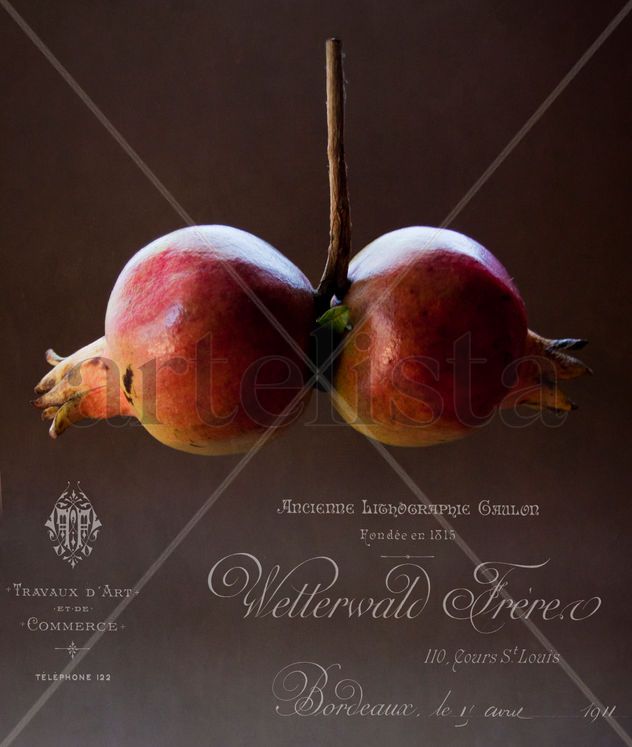 Granadas gemelas y los logos franceses.