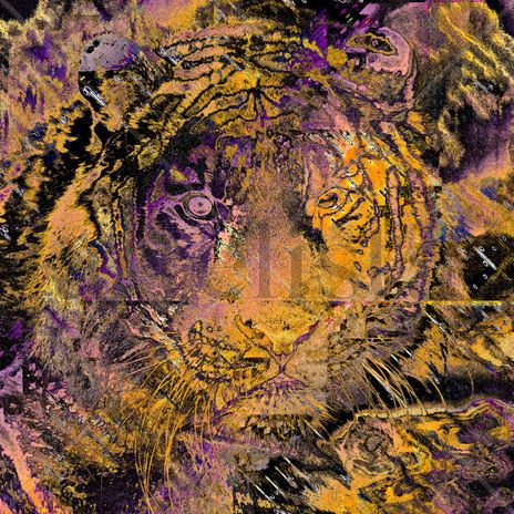 Tigre