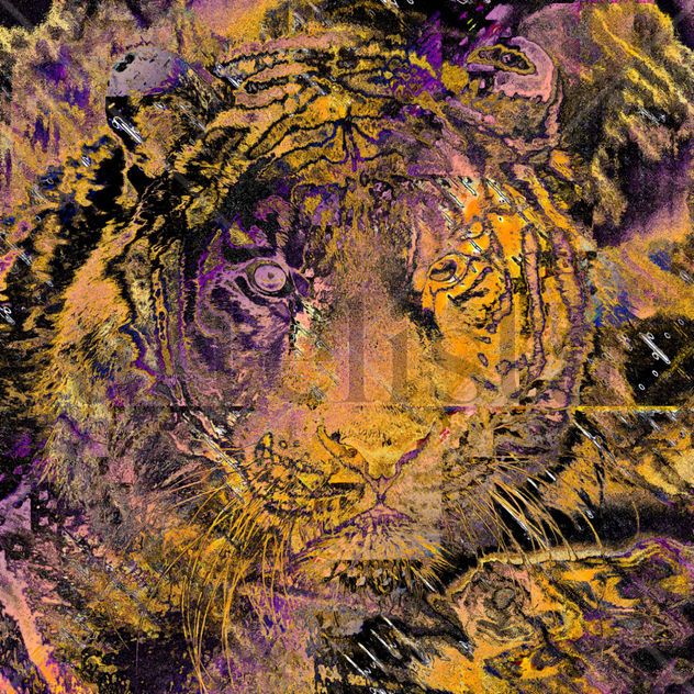Tigre