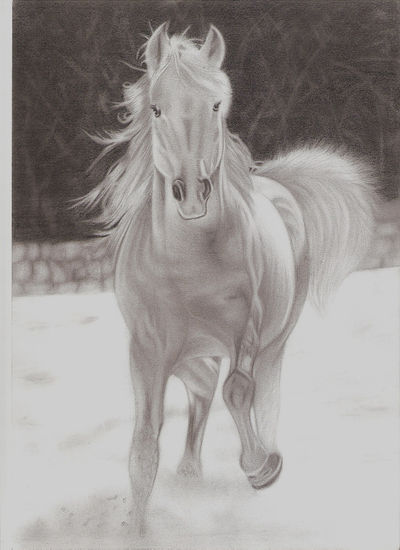 Caballo en la Nieve Pencil