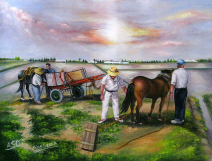 Temas de la marchal