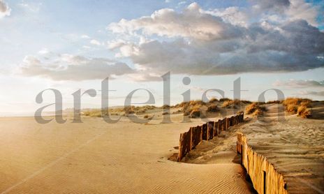 Dunas y Playa