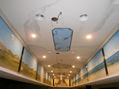 decoración mural