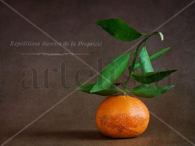 La mandarina tuneada y las texturas Still lifes Color (Digital)