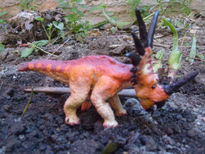 Styracosaurus