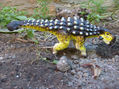 ANKYLOSAURUS