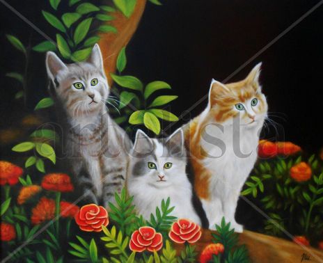 Gatos