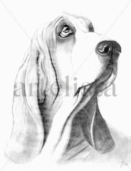 La mirada del perro Graphite Canvas Animals