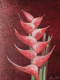 "heliconia en rojo"