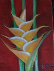 "heliconia amarilla".