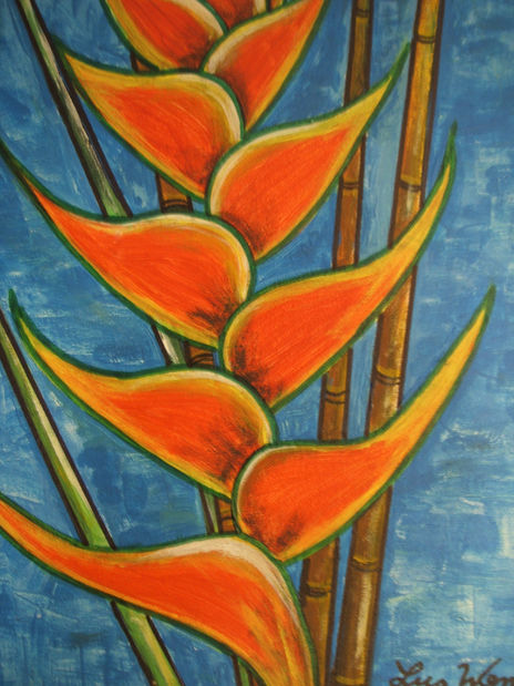 "heliconia naranja...