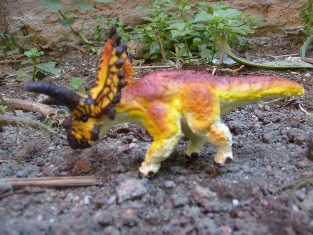 COAHUILACERATOPS Mixed Figurative