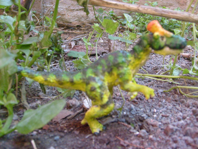 CRYOLOPHOSAURUS