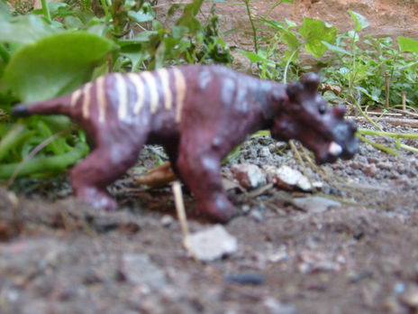 Uintatherium