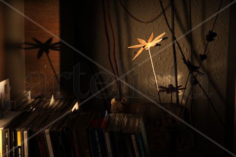 Luces y Sombras