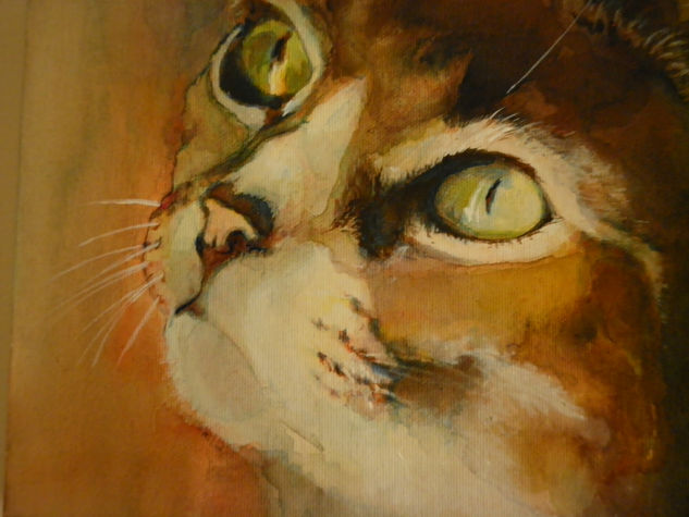 ternura felina Acrylic Canvas Animals