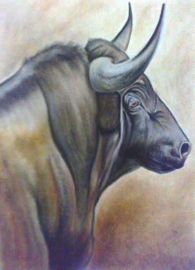 Toro de lidia Pastel Papel Animales