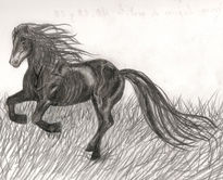 Caballo negro