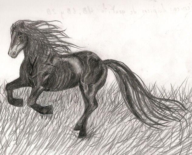 Caballo negro Lápiz