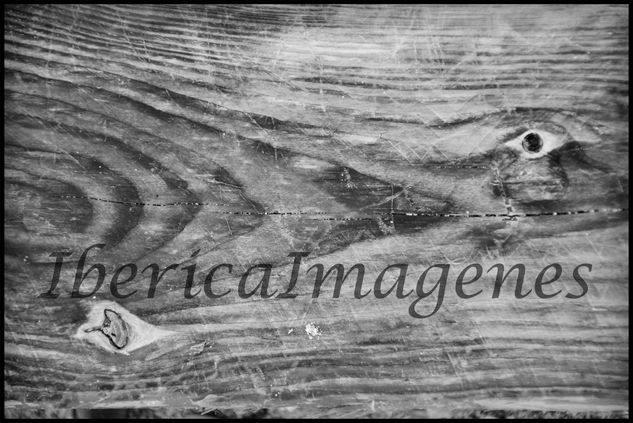 Textura Madera 1 Conceptual/Abstracto Blanco y Negro (Digital)