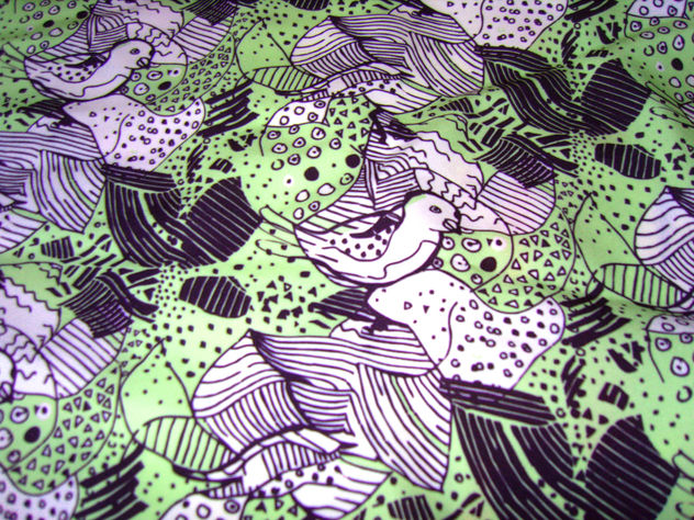 pajaros