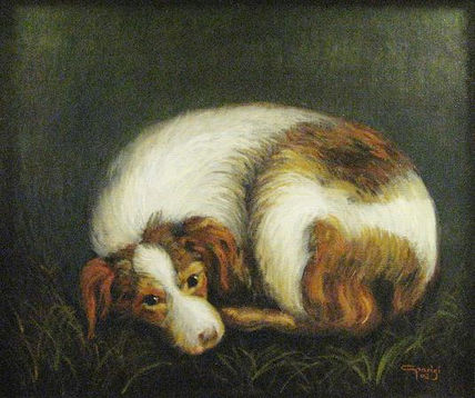 Perro