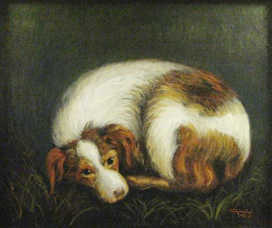 Perro