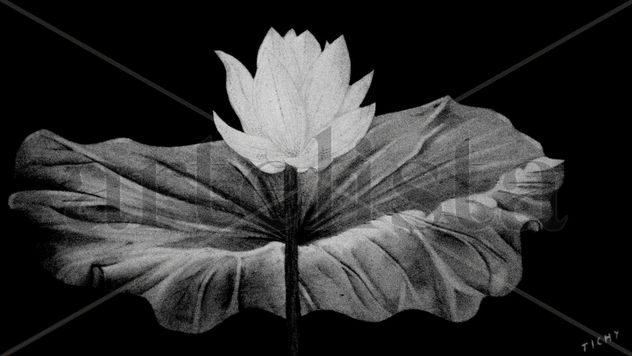 flor de loto