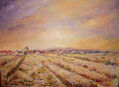 CAMPOS DE CASTILLA