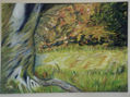 Mi arbol