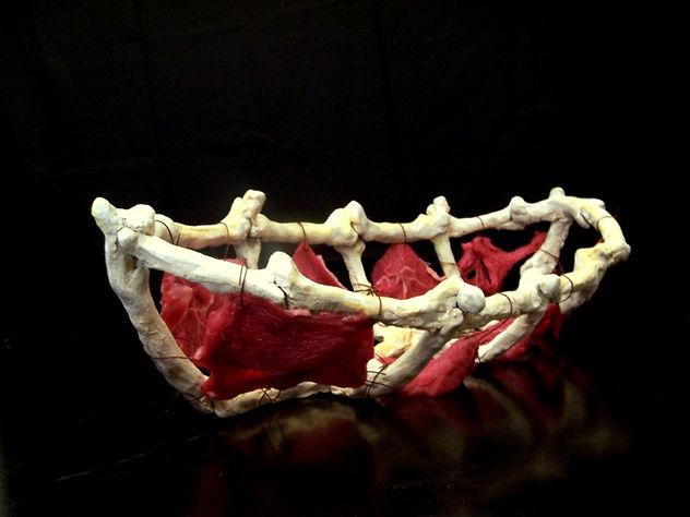 ARCA DE NOÉ