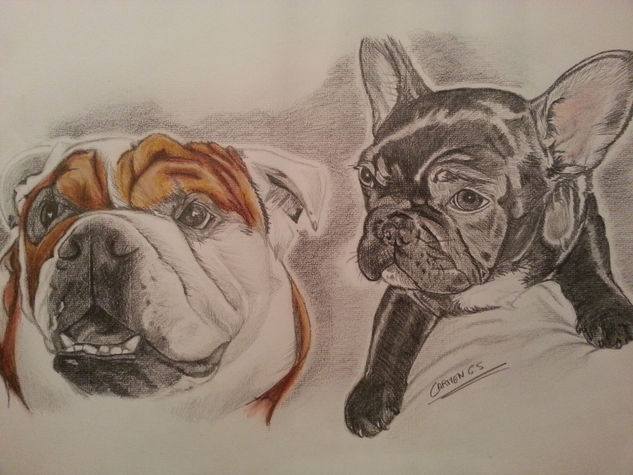 coco y triqui Pastel Papel Animales