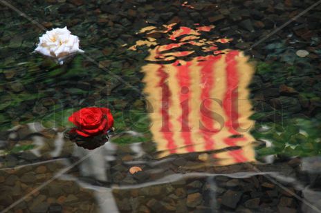 Reflejo emergente