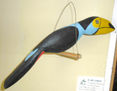 Tucan