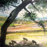 PAISAJES thumbnail 1